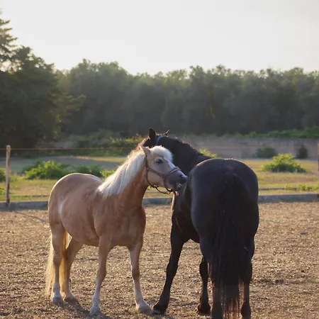 Tenuta Lu Sule & Lu Jentu