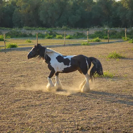 Tenuta Lu Sule & Lu Jentu Villa Alezio