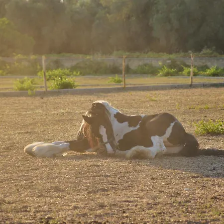 Villa Tenuta Lu Sule & Lu Jentu