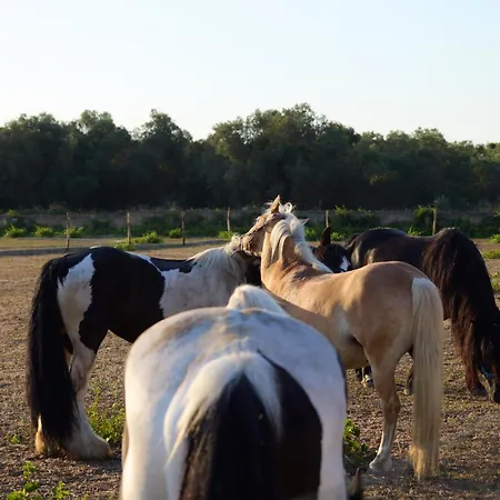 Villa Tenuta Lu Sule & Lu Jentu