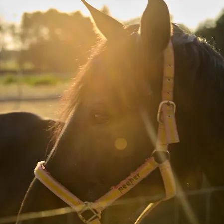 Tenuta Lu Sule & Lu Jentu Alezio